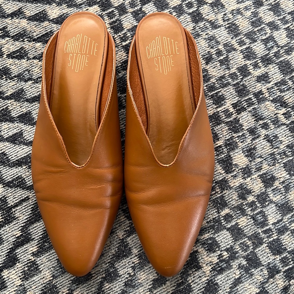 Charlotte Stone -Calvin Flats size 10
